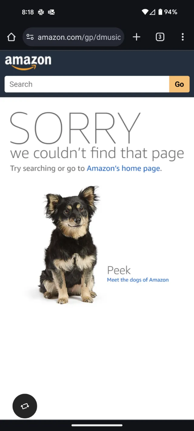 Amazon error page