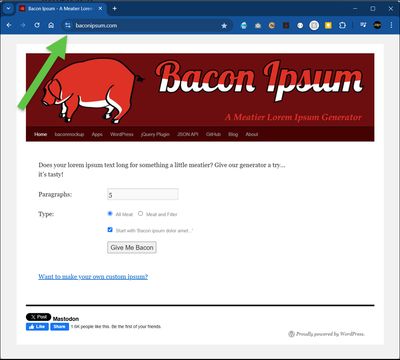 Bacon Ipsum home page in the browser
