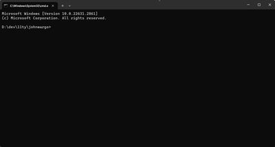 Windows terminal window open to the selected folder