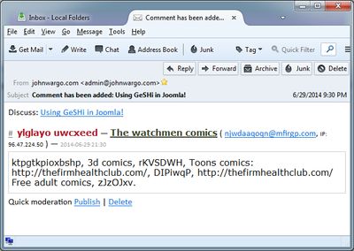 Example Spam Comment