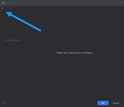 PyCharm Deployment Dialog with new Deployment highlighted