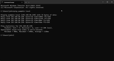 windows terminal showing the results of the ping command